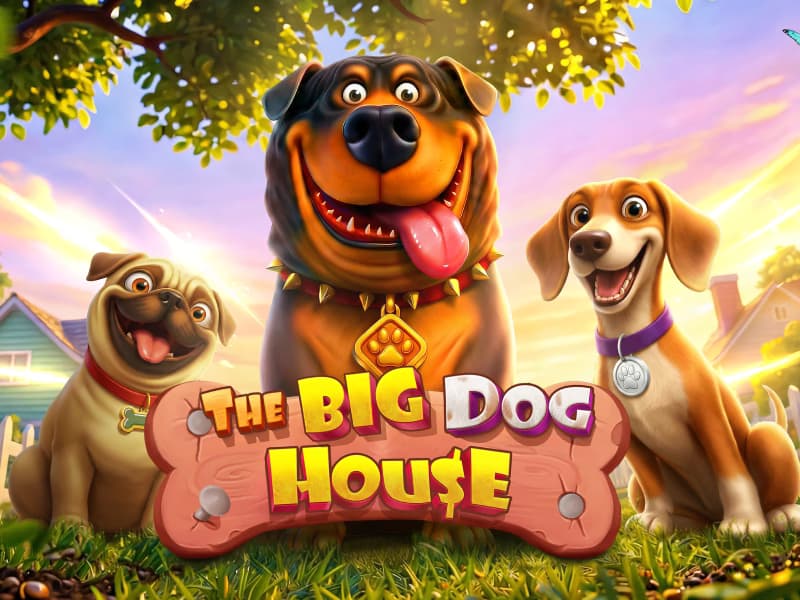 The Big Dog House