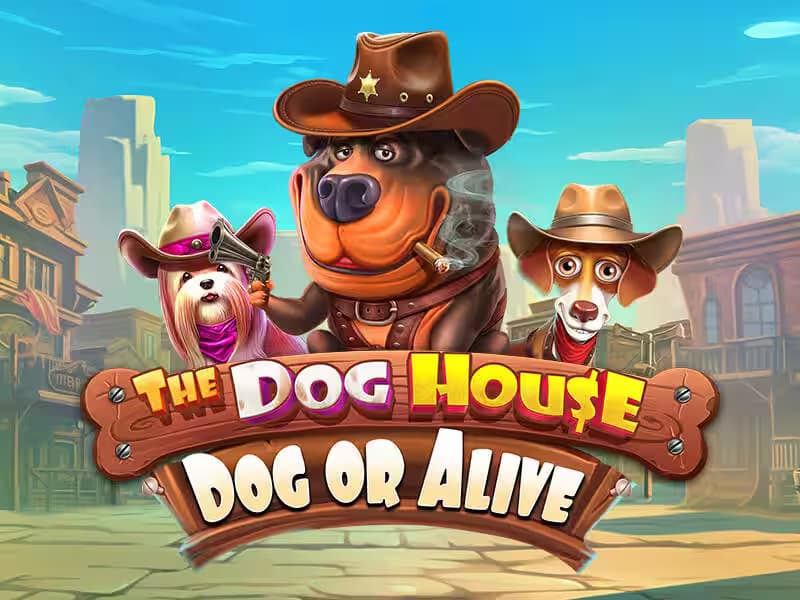 The Dog House Dog or Alive